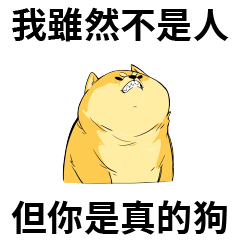 壞掉的柴犬3✨我雖然不是人 但你是真的狗