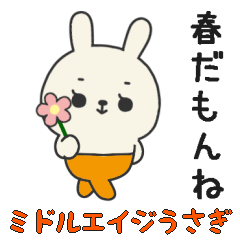 ミドルエイジうさぎ２（春にぴったり編）