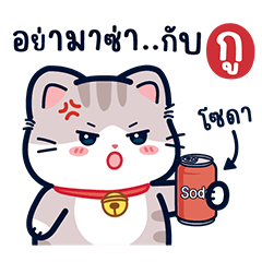 เจ้าเหมียวมารี แมวสีเทา 6