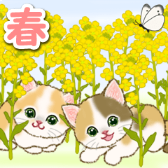 春のちびにゃんズ