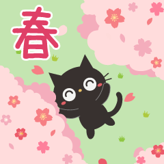 Black cat's spring and daily life