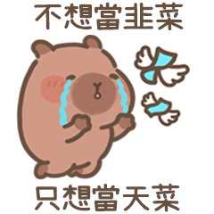 豚豚布丁♡股市王(Q水豚財富自由)
