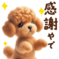 関西弁♡動く羊毛トイプーの家族連絡