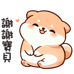 ^・ᴥ・^ 小胖柴犬謝謝寶貝