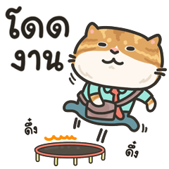 ส้มส้ม แมวทำงาน