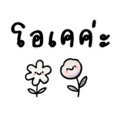 คำพูดภาษาดอกไม้ สุภาพ น่ารัก