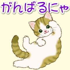 ネコ語でニャ～ニャ～ もふもふにゃんこ