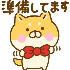 待ち合わせゆる柴犬