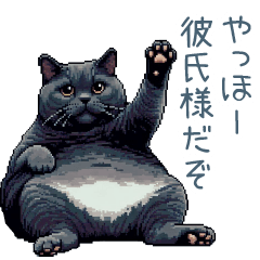 連絡用ネコ彼氏2【毎日使える・カップル】