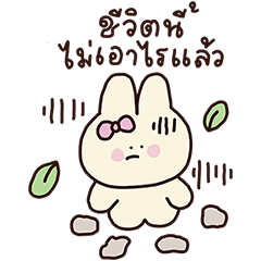 ชาช่า บันนี่