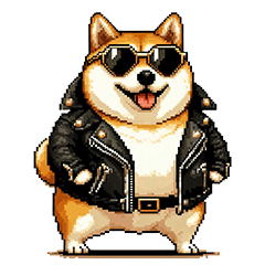 ロックでハードな太っちょ柴犬