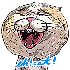 貓貓室友6