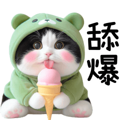 小貓愛你又愛嗆