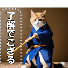 【剣道ネコちゃん】