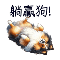好喜樂蒂-躺贏篇
