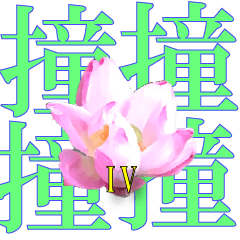 早安無極感恩蓮花宗 第四代貼圖-撞四代