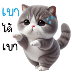 แก๊งเหมียวคาวาอี้ตุ้ยนุ้ย V.4