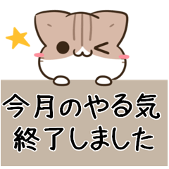 毎日五月病なねこたち 敬語3