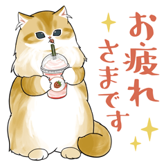 長毛にゃん