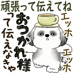 動くB&Wシーズー犬『頑張って伝えてね！』