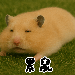 可愛倉鼠的趣味表情
