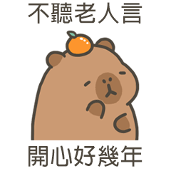 卡比巴拉肥水豚開心好幾年