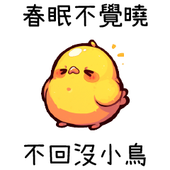Cute duck!Cute duck!