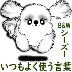 New B&W シーズー犬  「いつも使う言葉」