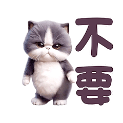 動感舞星 - 強迫營業 (賓士貓HD)