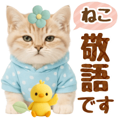 ラフな敬語の癒しにゃんこのキジトラ