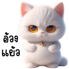White cat with round eyes