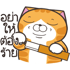 เหมียวซ่า : อย่าหยุดซน