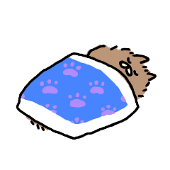 pompom cat