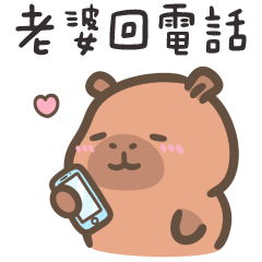 卡皮巴拉肉咪❤️呼叫老婆請回答