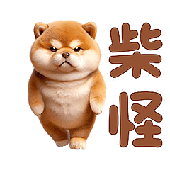動感舞星 - 強迫營業 (柴犬HD)