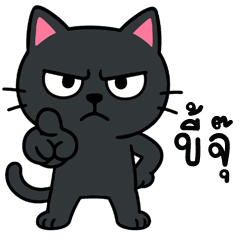 DumDum Funny Cat (Kum-muang)