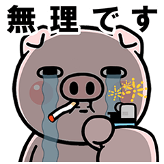 A slightly polite big-eyed pig