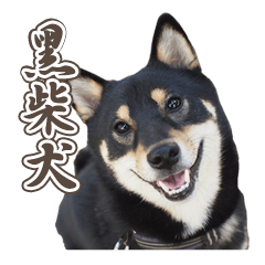 是黑柴犬KUROMAME的戳子