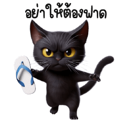 เเม๋วดำกวนโอ๊ยมากๆ