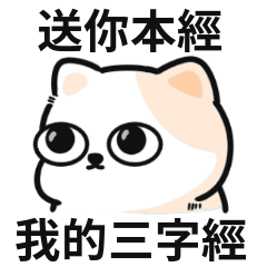 吉娃娃迷因♡你很有精神,帶點病那種