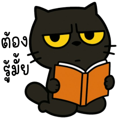 Platu The mischievous black cat V2