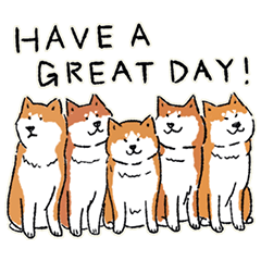 Every Day Dog 柴犬