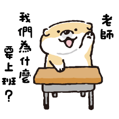 SHIBANBAN微笑柴犬-寶寶逃避現實