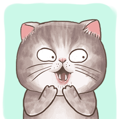 Oggy