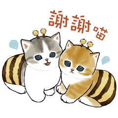 蜜蜂貓咪 2