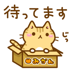 ねここさん6