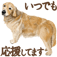 優しい犬！4 応援してます