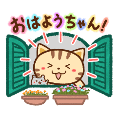 ネコちゃん ハムちゃん2