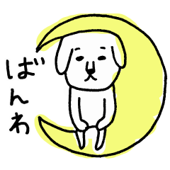 わんだーわんだー