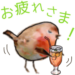 Daily conversation of a bird 2